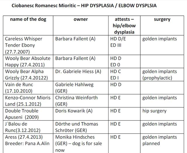 displazie tender ebony 1 - Consangvinizari gresite la mioritic