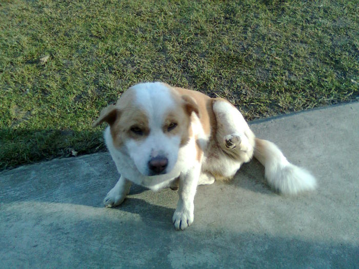 Imagine20406 - AAAAAAAAA_OSMAN_IN MEMORIAM