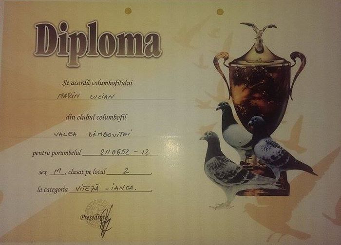 961586_850447498347302_1227920483_n - Diplome