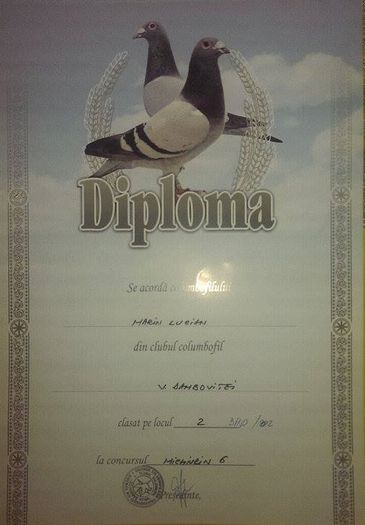 11009046_850447701680615_1802214096_n - Diplome