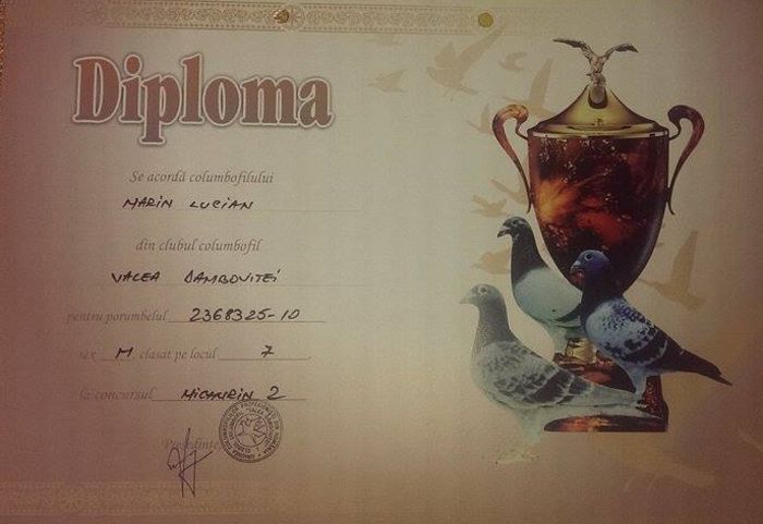 11039380_850447615013957_1004518328_n - Diplome