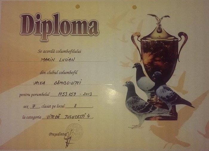 11039473_850447521680633_1346618873_n - Diplome