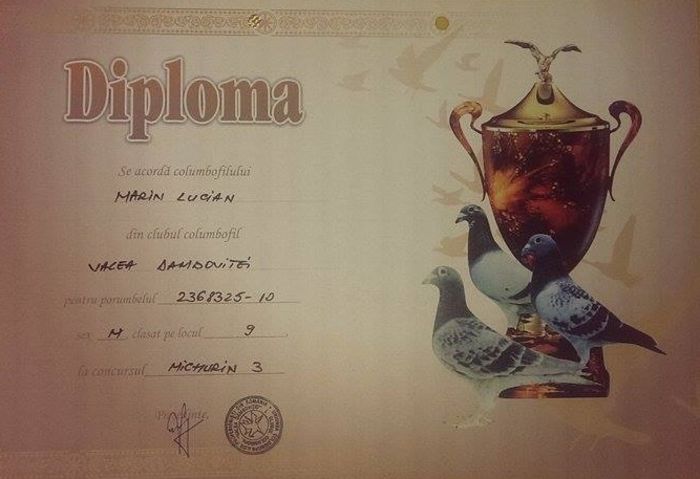 11042017_850447598347292_1901624956_n - Diplome