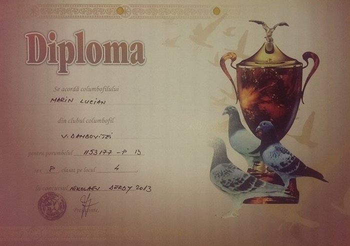 11047114_850447528347299_213523510_n