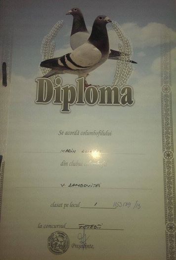 11050958_850447711680614_932175027_n - Diplome