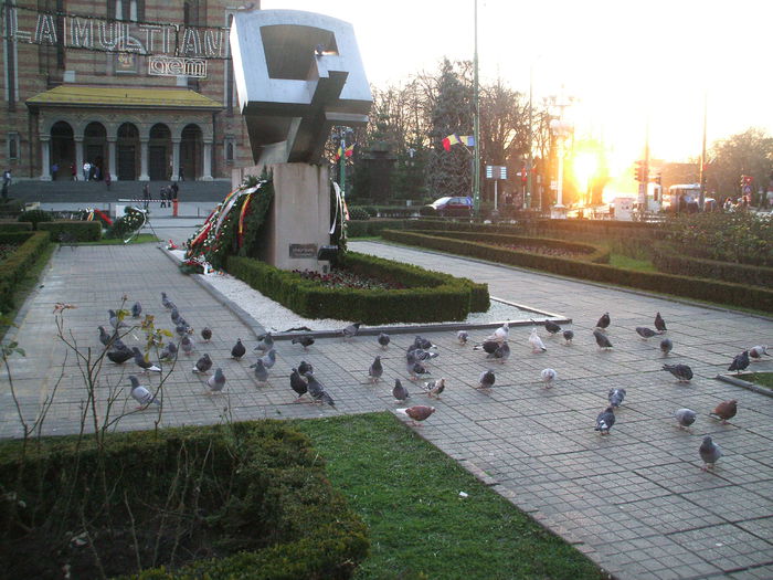 DSCF2668 - Porumbei comuni - Timisoara - 21 decembrie 2014