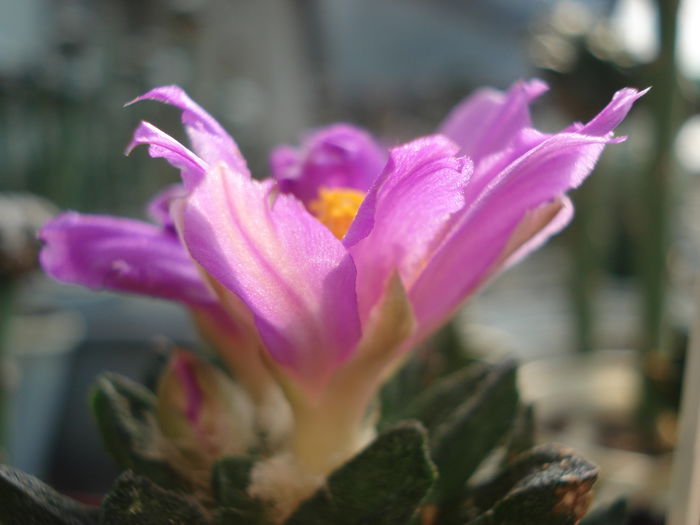 DSC09880