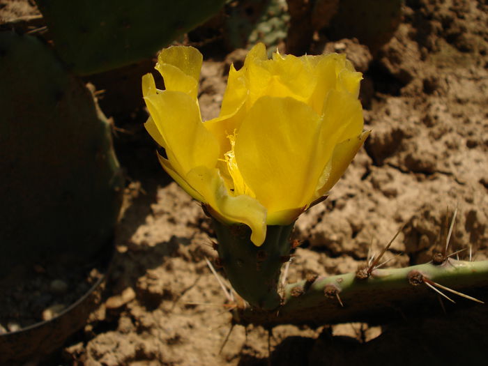 DSC07320