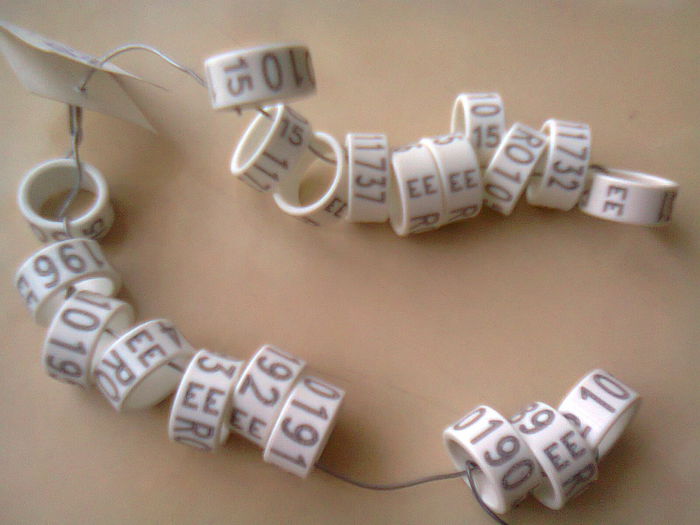 INELE EE  MARIMI DE 9 SI 10 2015