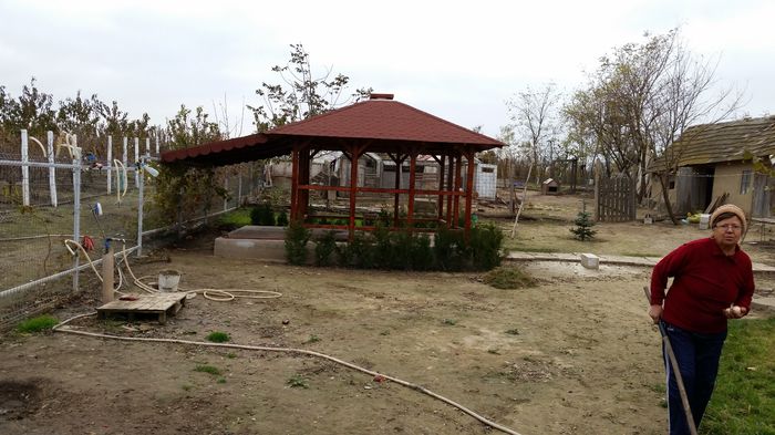 Viitorul foisor cu gratar