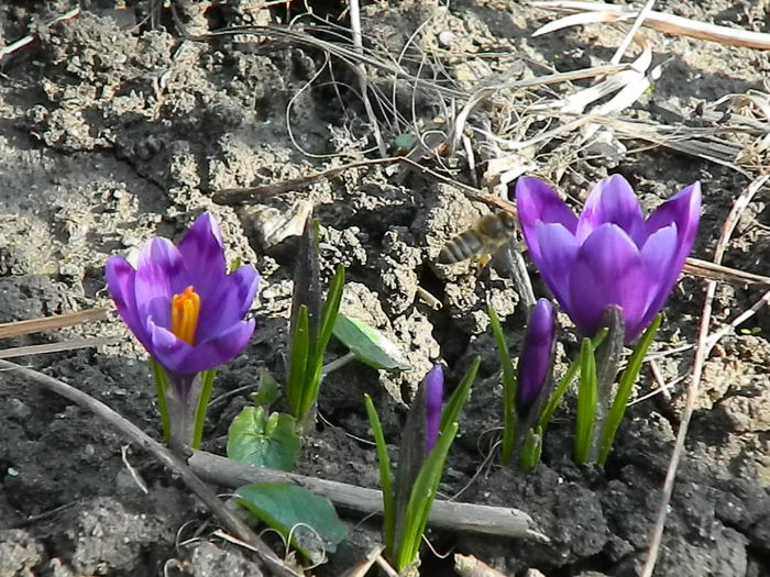 DSCN0336
