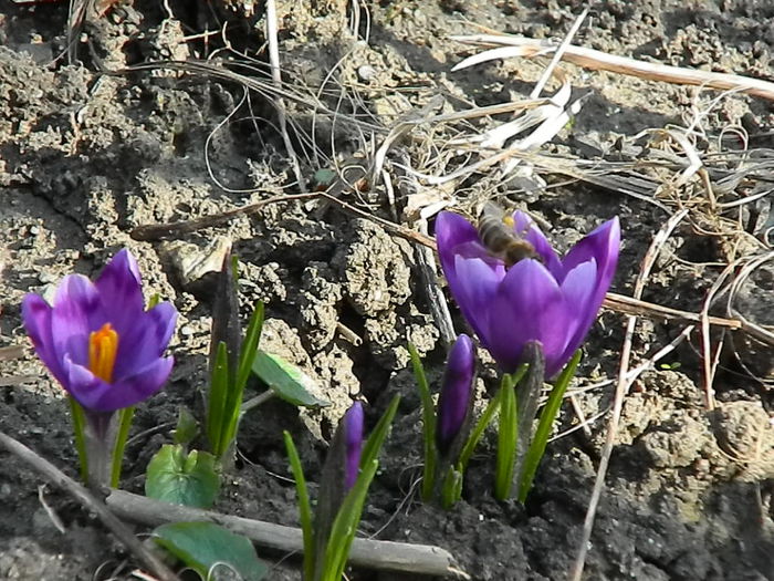 DSCN0337