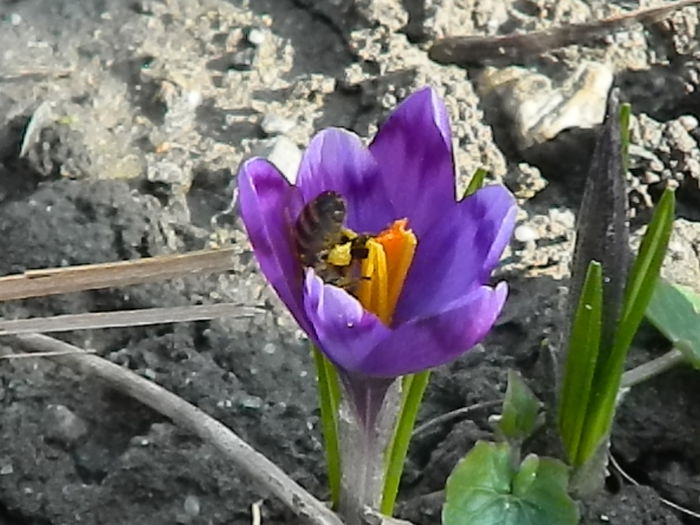 DSCN0358