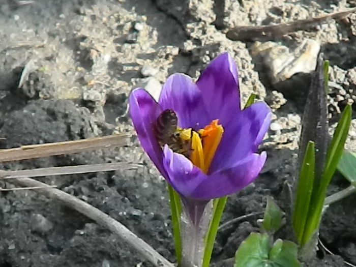 DSCN0361 - 2015_MARTIE
