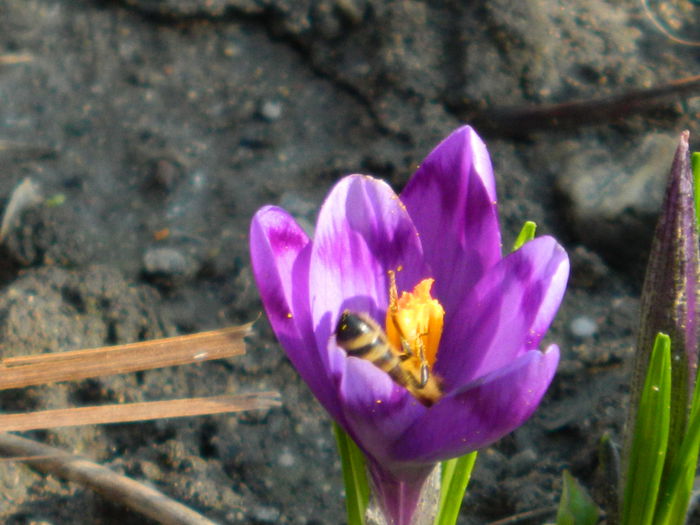 DSCN0412 - 2015_MARTIE