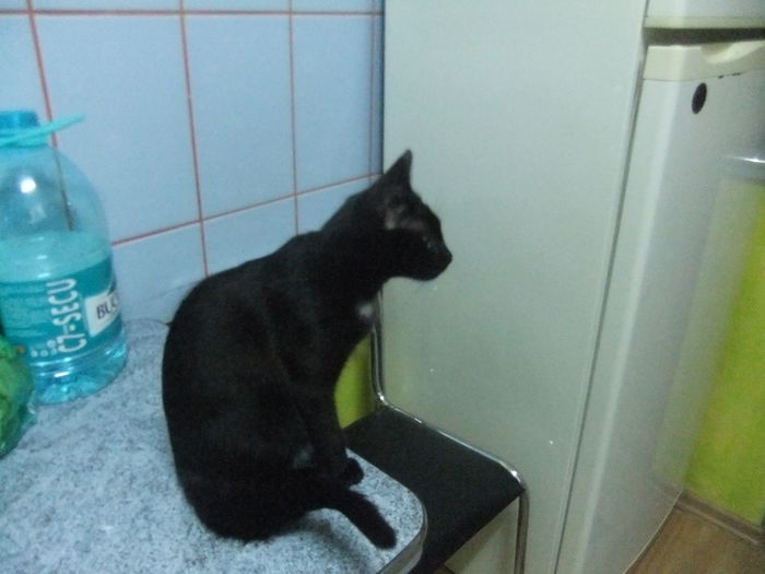 DSCF9195