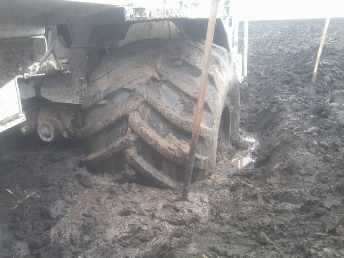 Fotografie0990 - DE PRIN NATURA