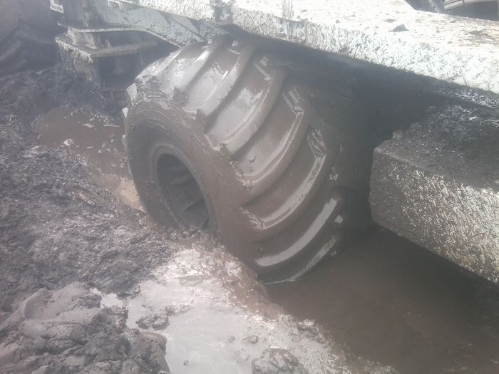 Fotografie1017 - DE PRIN NATURA