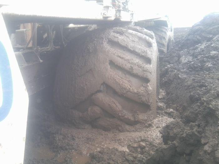 Fotografie1019 - DE PRIN NATURA