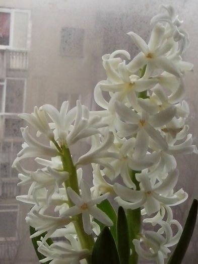 IMG_20150314_172147_1