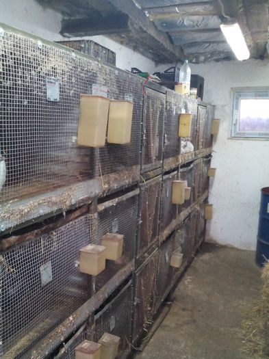  - ADAPOST - CALIFORNIAN