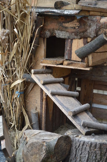 cuib mandarine standard