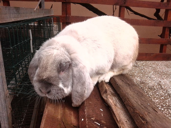 KLYDE din 24.01.2014