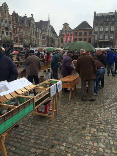 image - Lier Market Pigeon Paradis in Belgium