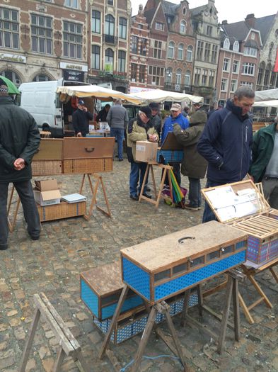 image - Lier Market Pigeon Paradis in Belgium