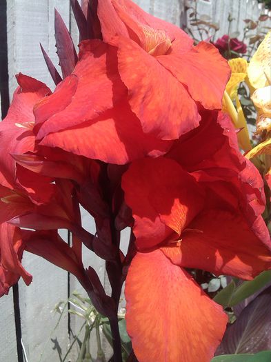 PHOTO_20140719_134021