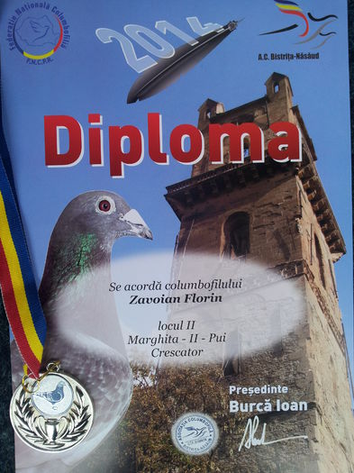 2014 - Diplome