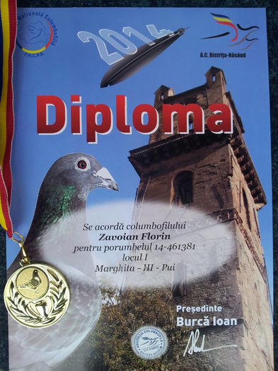 2014 - Diplome