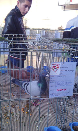 IMG_20150215_092418 - Voiajori germani