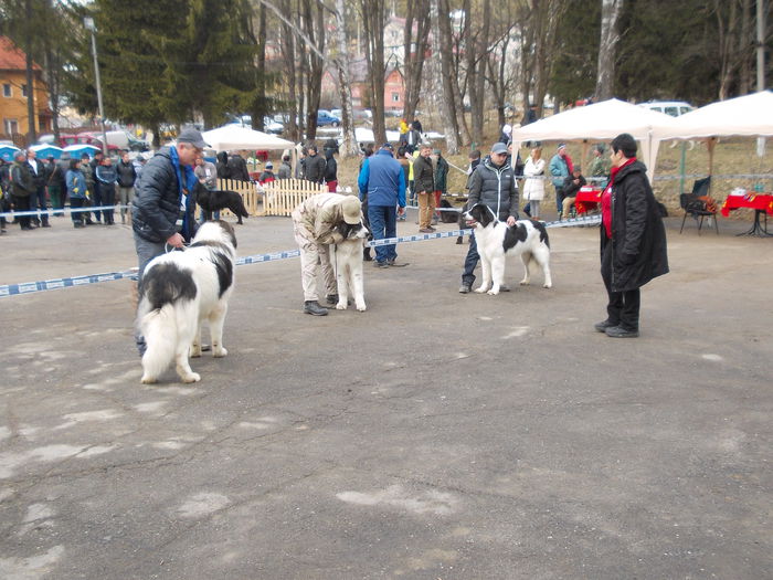 DSCN0069 - Ciobanesti de Bucovina- Predeal 2015