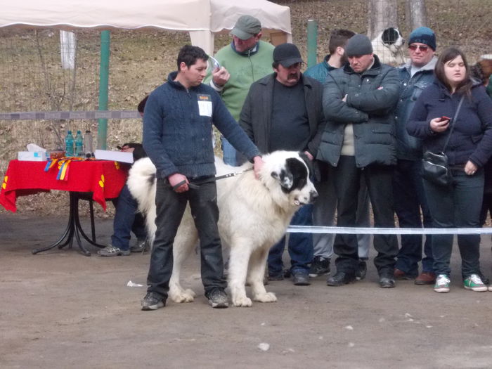 DSCN0094 - Ciobanesti de Bucovina- Predeal 2015