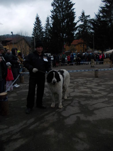 DSCN0113 - Ciobanesti de Bucovina- Predeal 2015