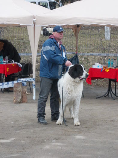 DSCN0118 - Ciobanesti de Bucovina- Predeal 2015