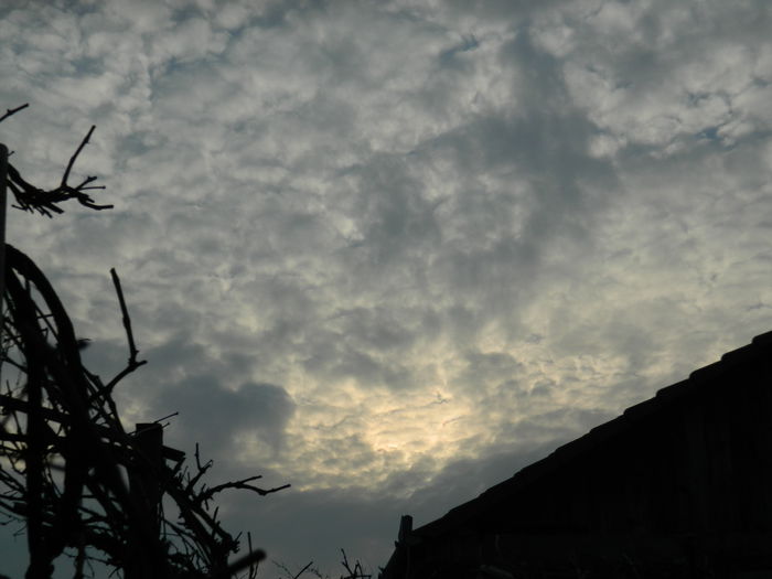 DSCN0630