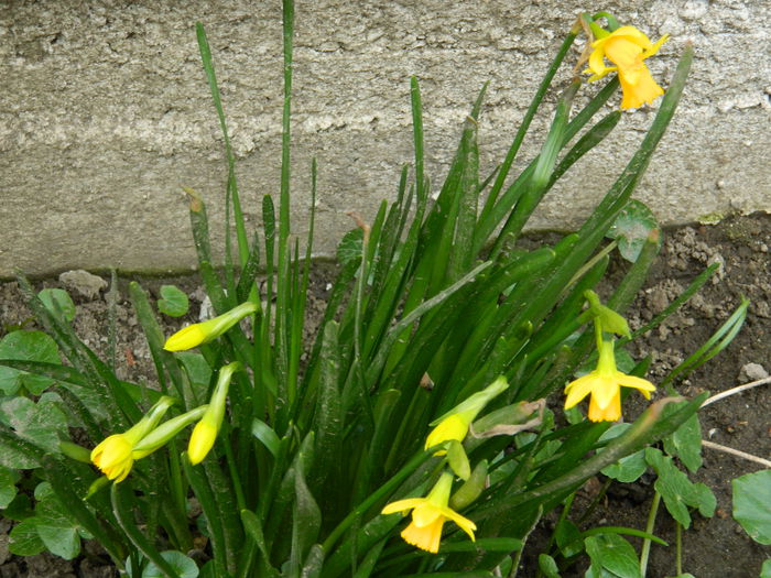 DSCN0732 - 2015_MARTIE