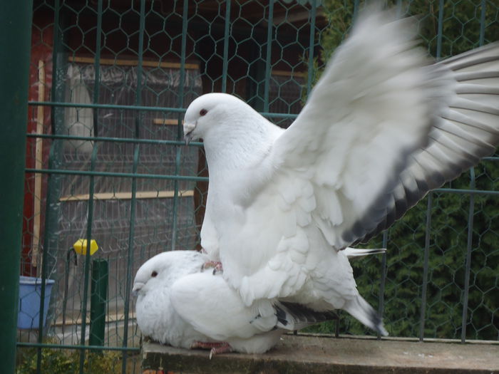 M-2014-76&F-2014-447