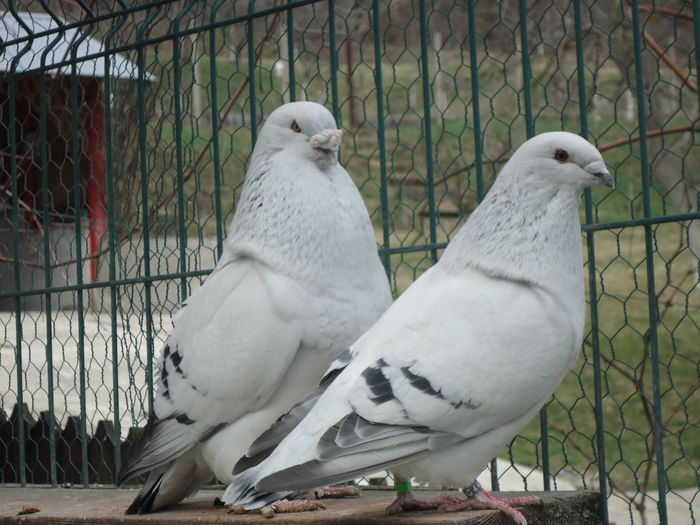 M-2011-10&F-2014-447