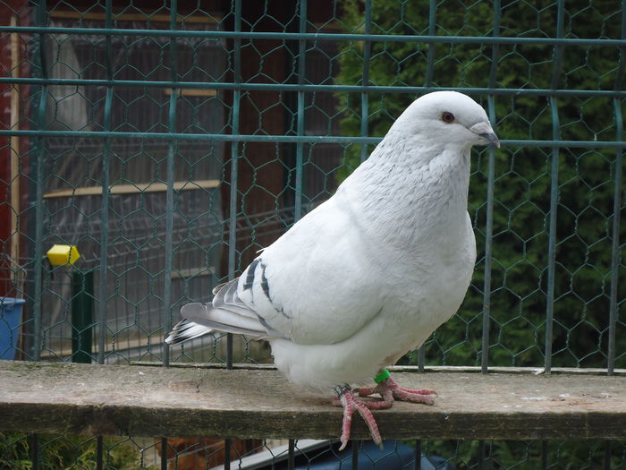 F-2014-447 - 0-VRdF-19-09-2014-24-05-2015