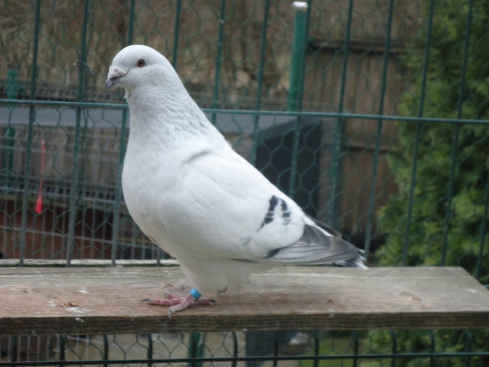 M-2014-76 - 0-VRdF-19-09-2014-24-05-2015