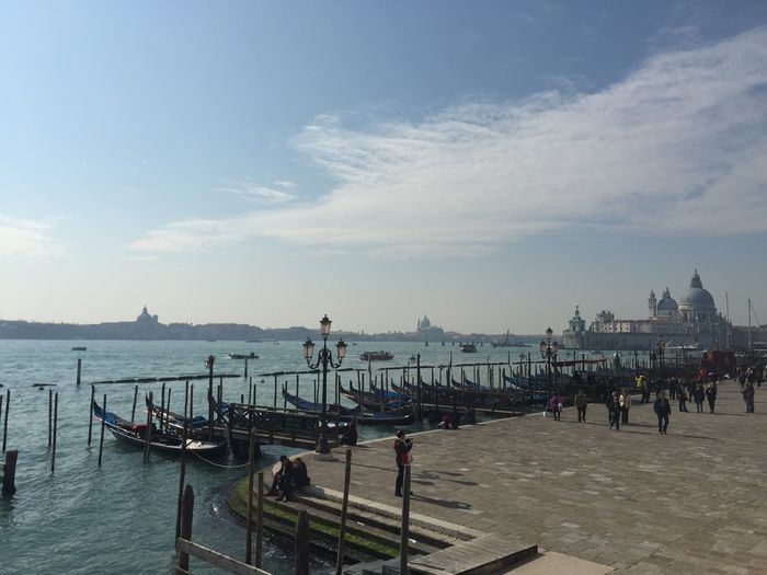 image - Venetia 2015