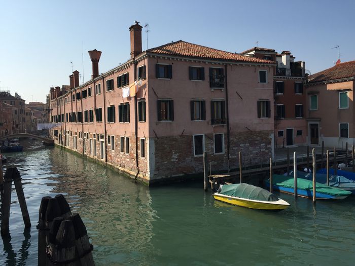 image - Venetia 2015