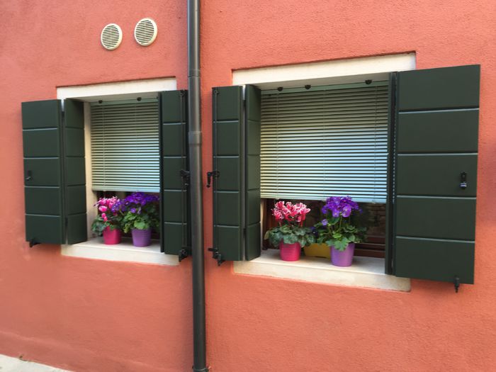 image - Venetia 2015