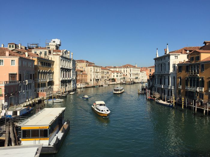 image - Venetia 2015