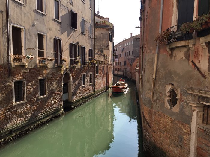 image - Venetia 2015