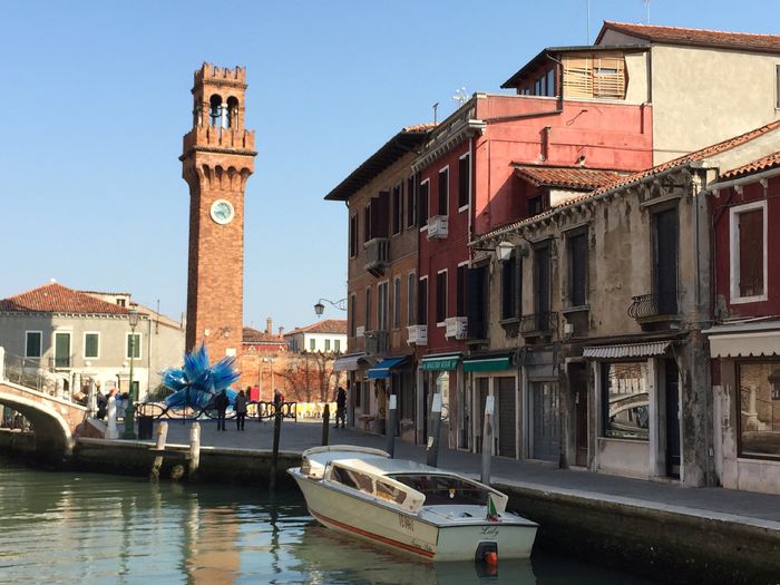 image - Venetia 2015