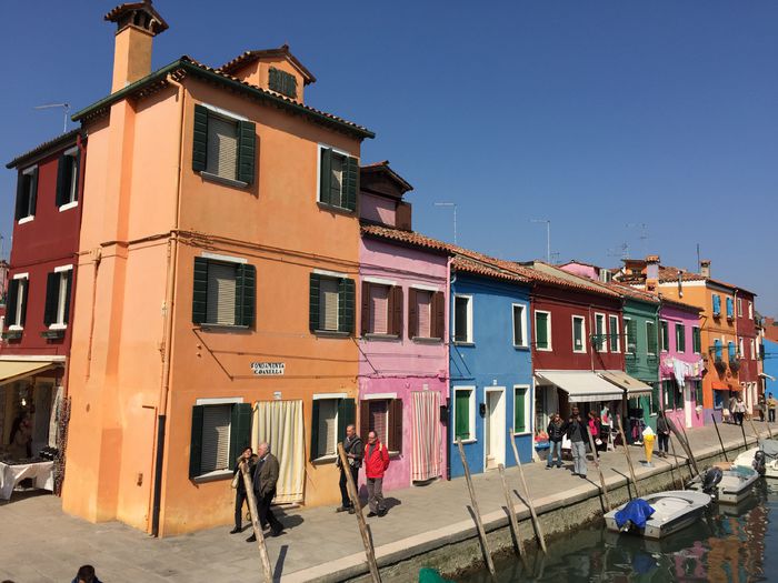 image - Venetia 2015
